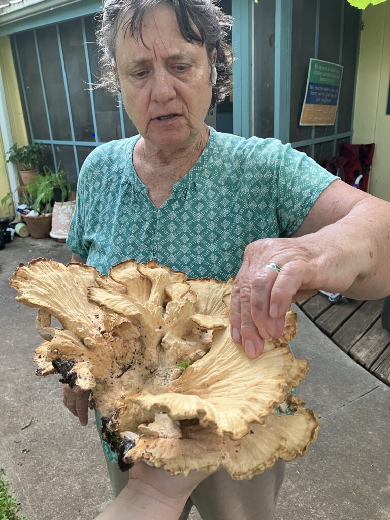 Giant Mushroom in Sue's hand