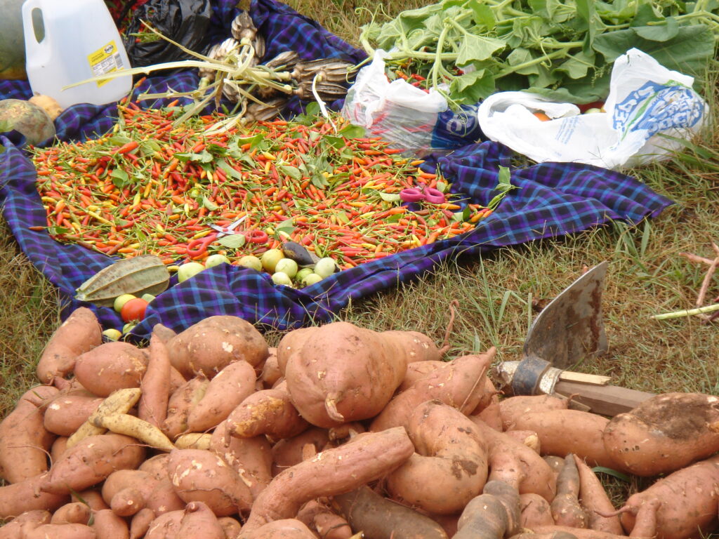 hot peppers and sweet potatoes