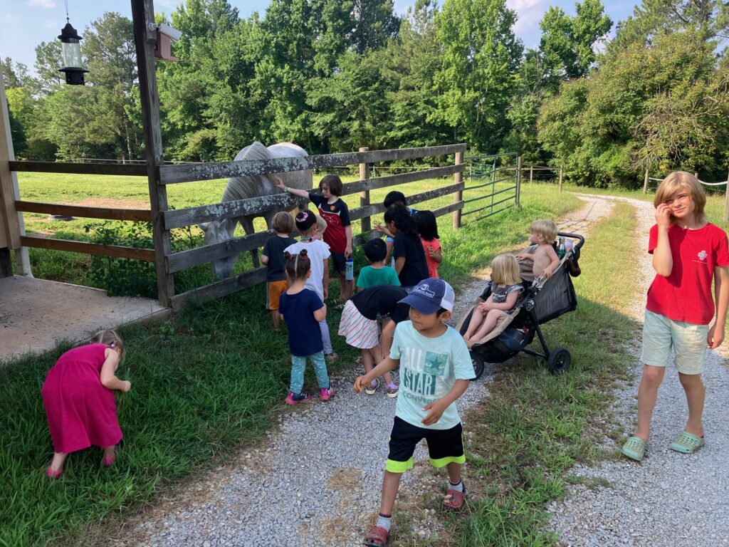 Children at a farm