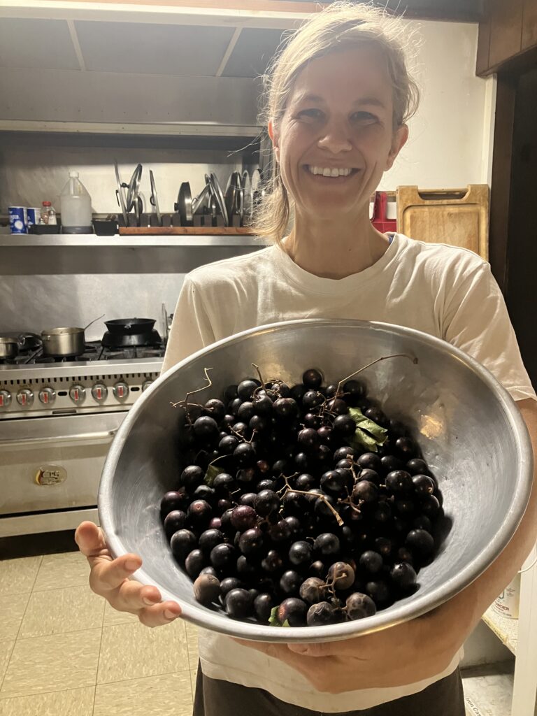 Sage holding muscadine grapes